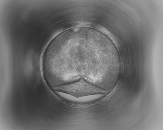 X0000100911235200807220944