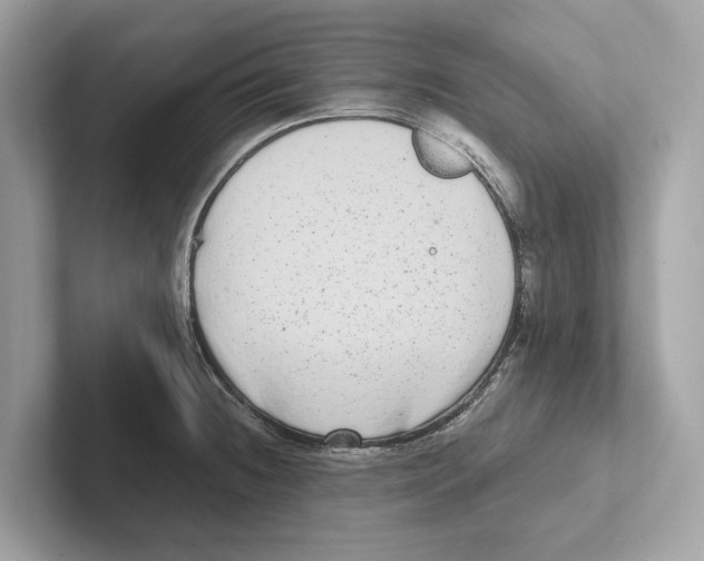 X0000100911236200807220944