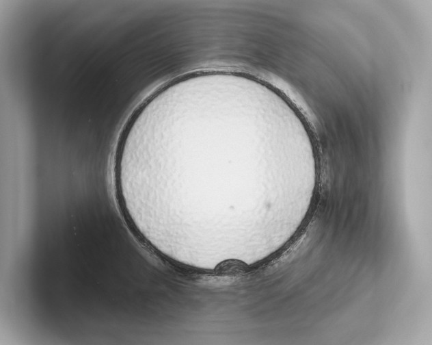 X0000100911237200807220944