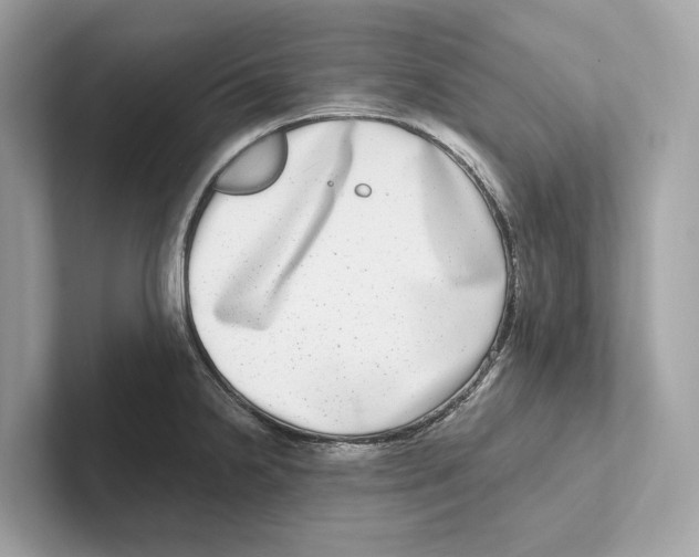 X0000100911238200807220944