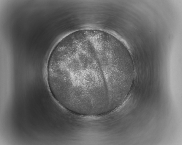 X0000100911239200807220944