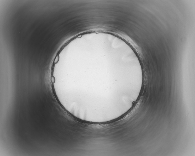 X0000100911240200807220944