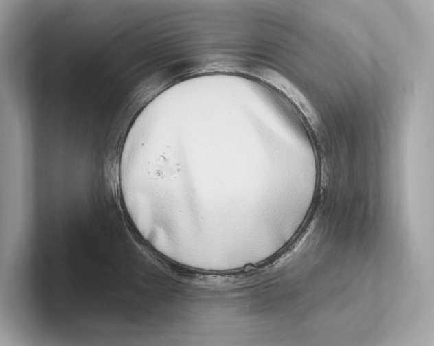 X0000100911241200807220944