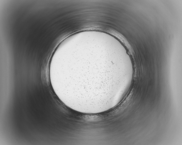 X0000100911242200807220944