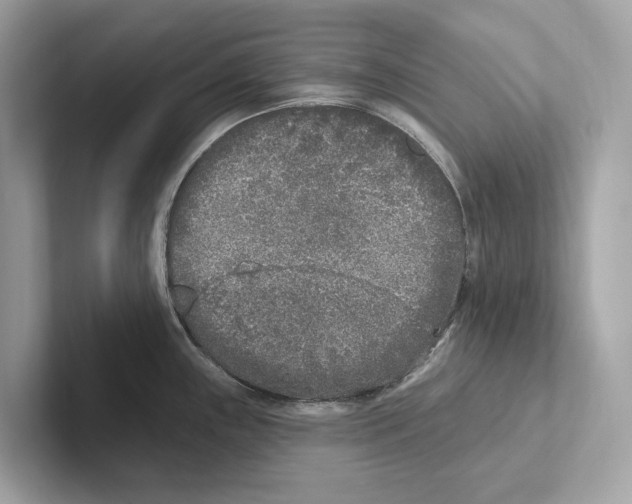 X0000100911243200807220944