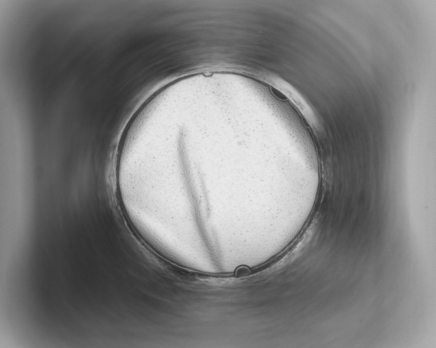 X0000100911244200807220944