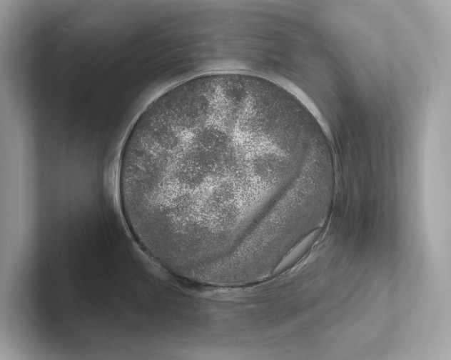 X0000100911245200807220944