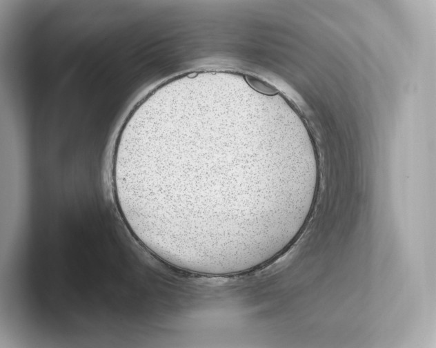 X0000100911248200807220944