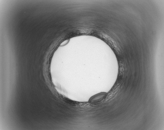 X0000100911249200807220943