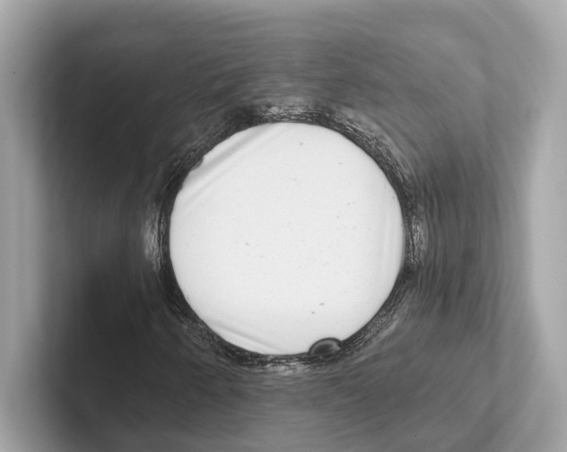 X0000100911250200807220943