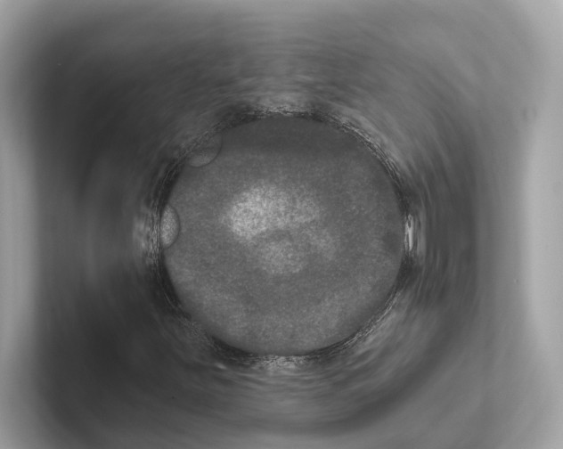 X0000100911251200807220943