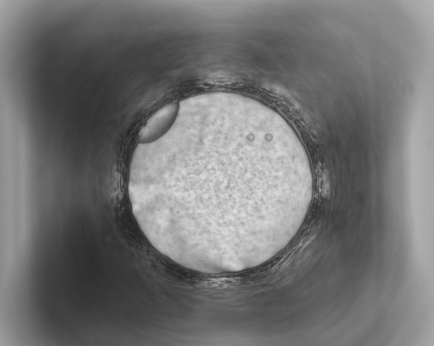 X0000100911253200807220943