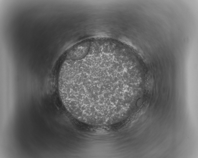 X0000100911255200807220943