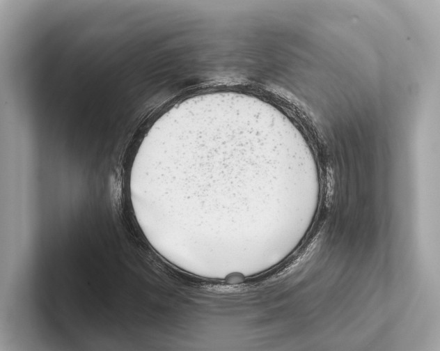 X0000100911257200807220943