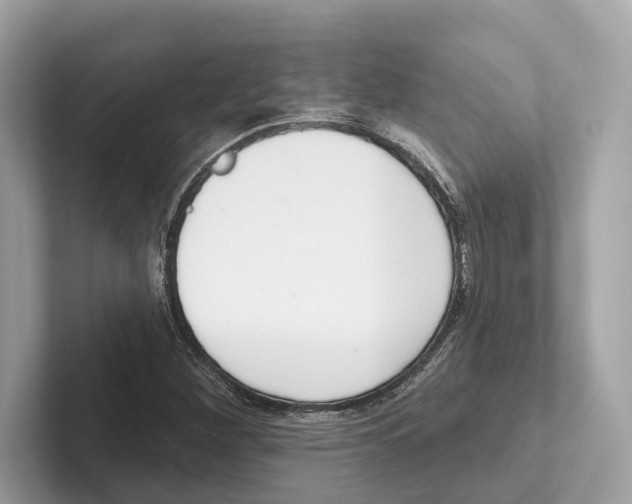 X0000100911260200807220943