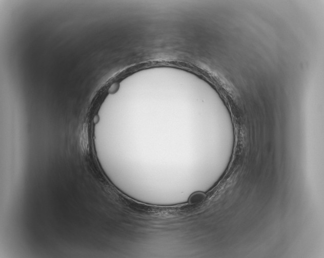 X0000100911262200807220943