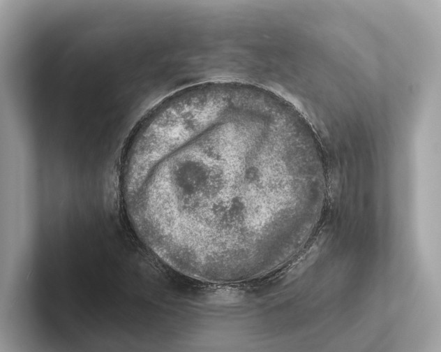 X0000100911263200807220943