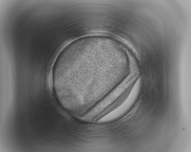 X0000100911275200807220943