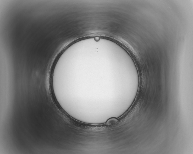 X0000100911277200807220943