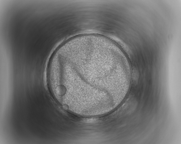 X0000100911278200807220943