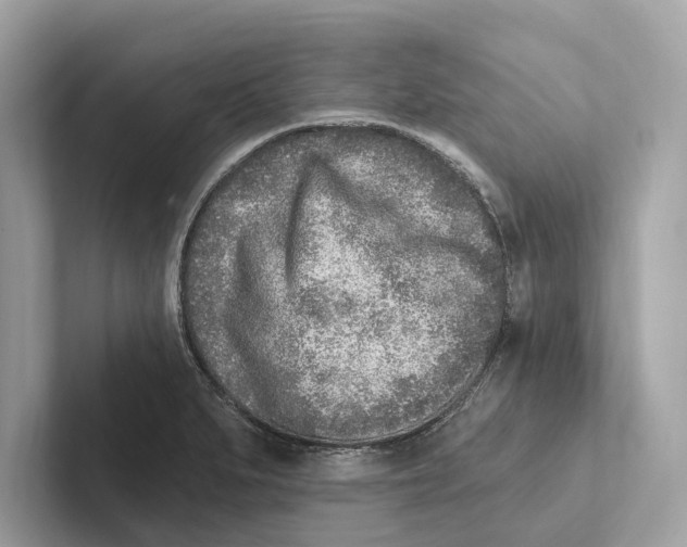 X0000100911279200807220943