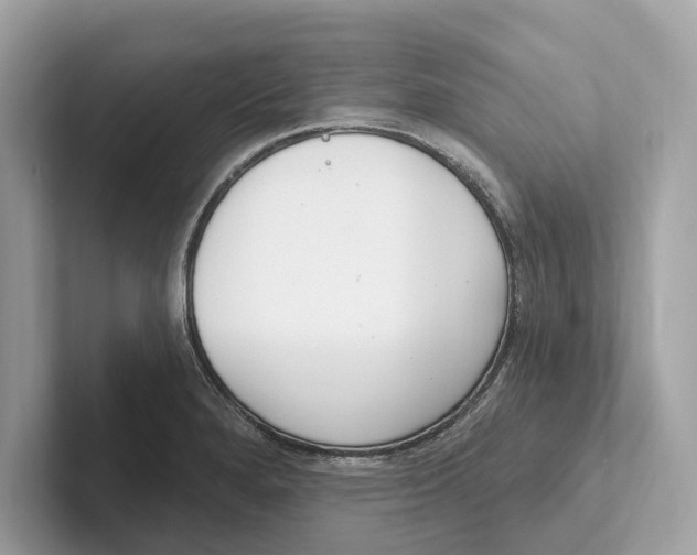 X0000100911280200807220943