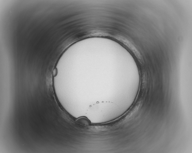 X0000100911281200807220943