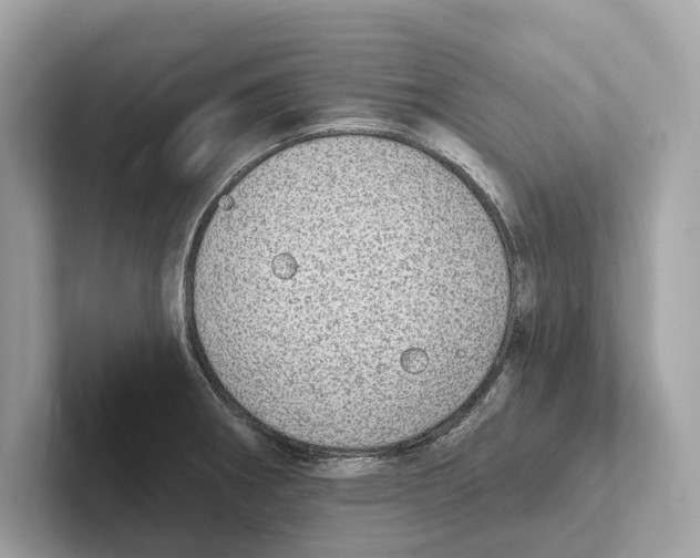 X0000100911282200807220943