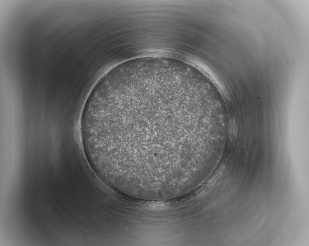 X0000100911283200807220943