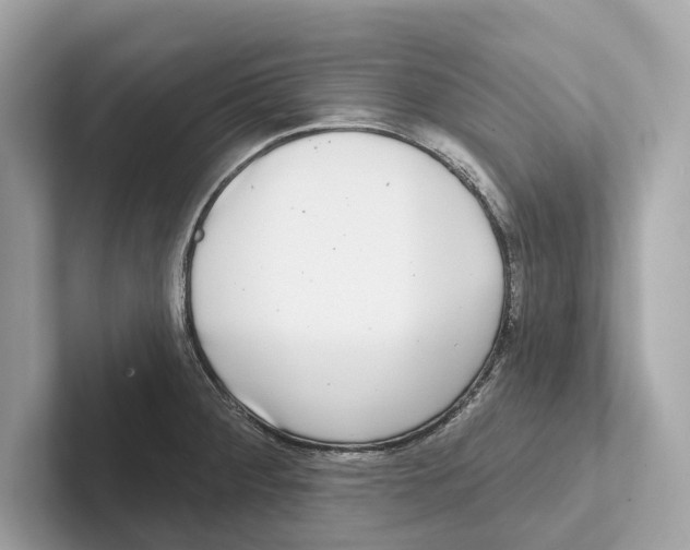 X0000100911284200807220943