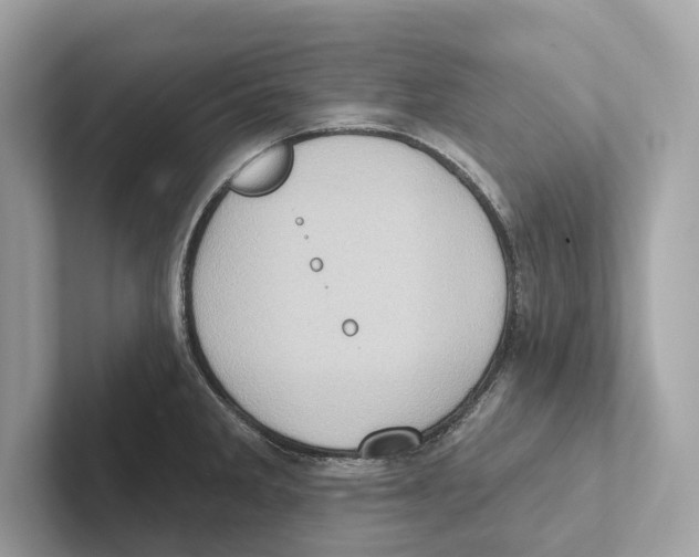 X0000100911285200807220943