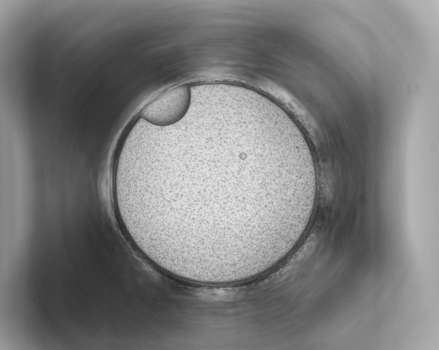 X0000100911286200807220943