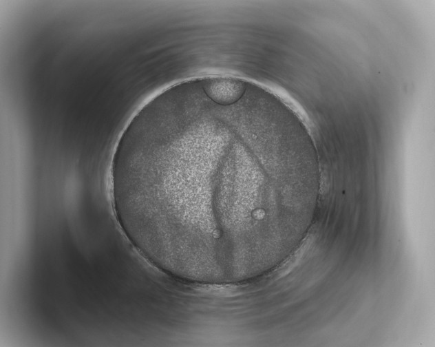 X0000100911287200807220943