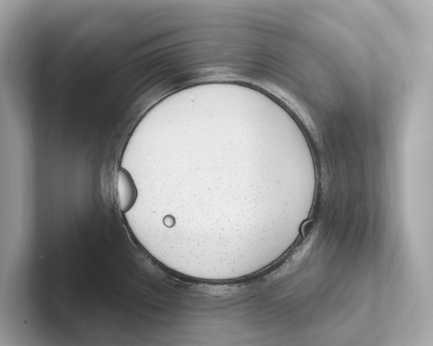 X0000100911289200807220943