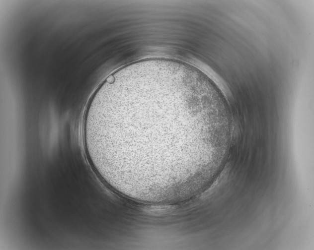 X0000100911290200807220943