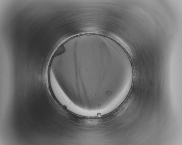 X0000100911291200807220943