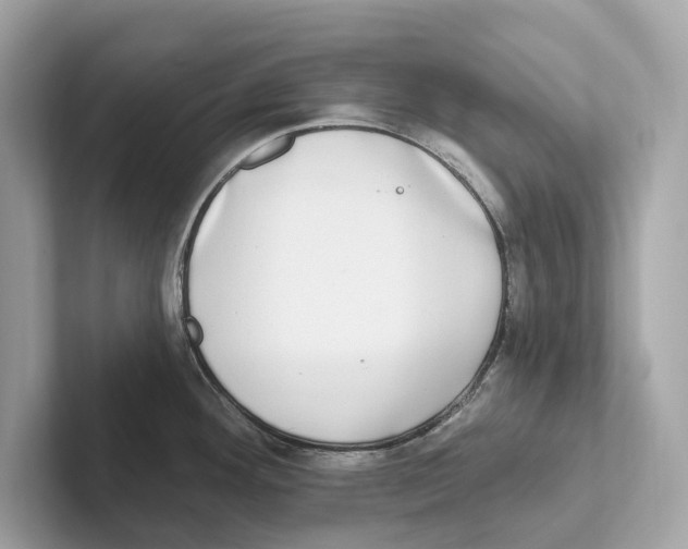 X0000100911292200807220943