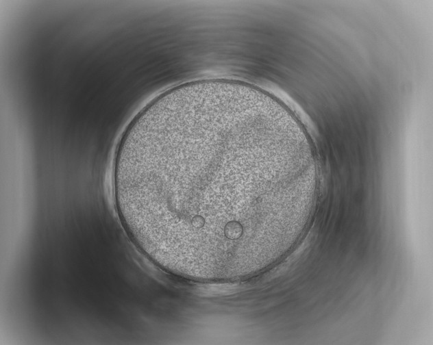 X0000100911294200807220943