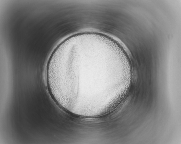 X0000100911295200807220943