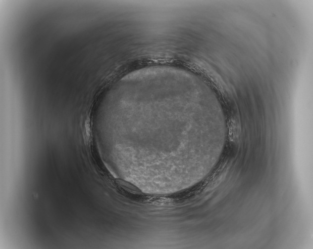 X0000100911298200807220942