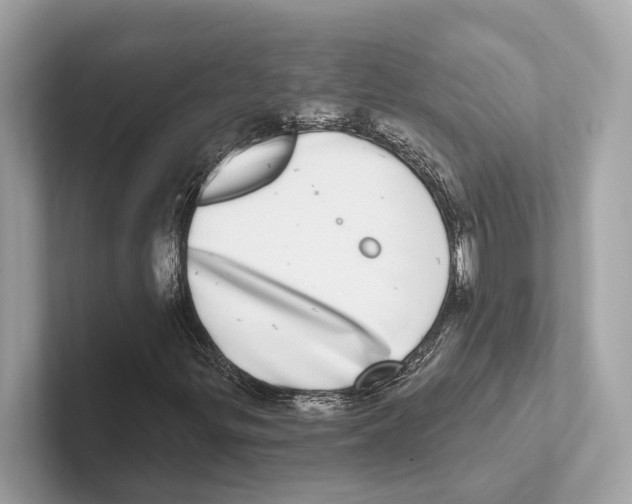 X0000100911299200807220942