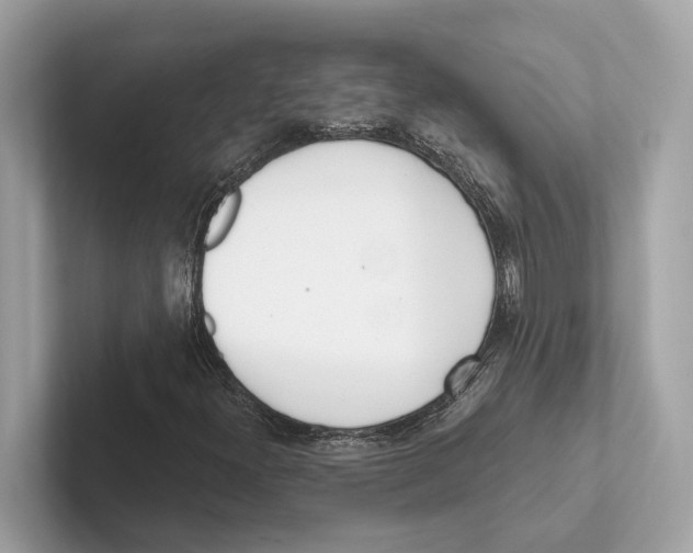 X0000100911300200807220942