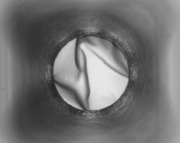 X0000100911301200807220942