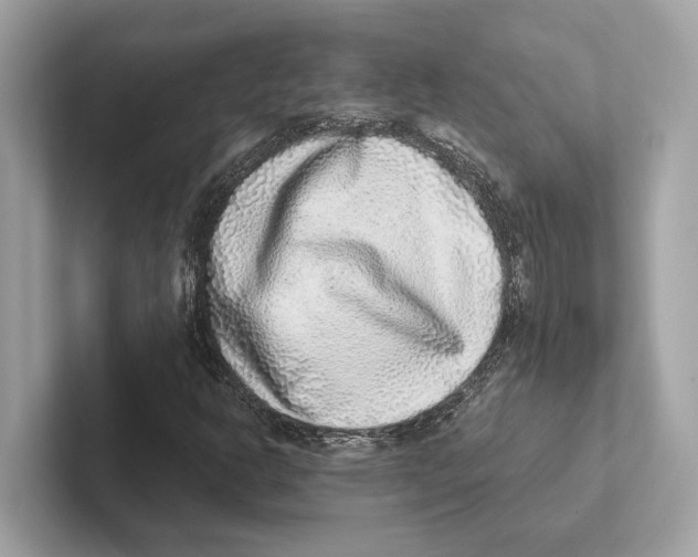 X0000100911302200807220942