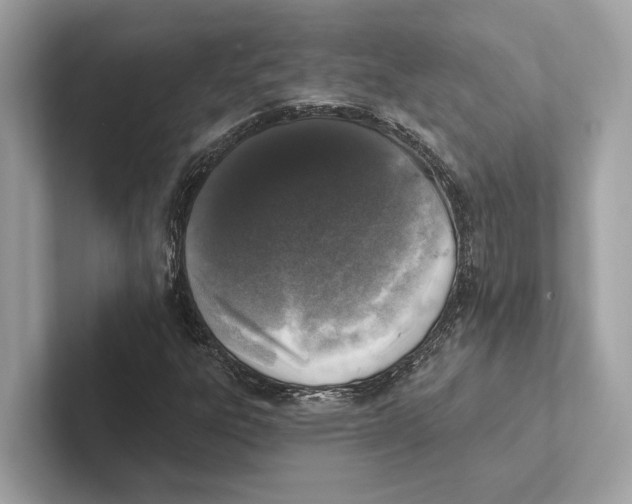 X0000100911303200807220942