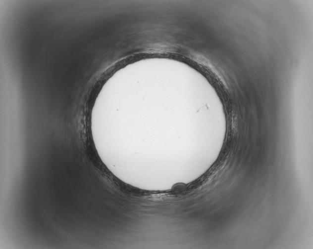 X0000100911304200807220942