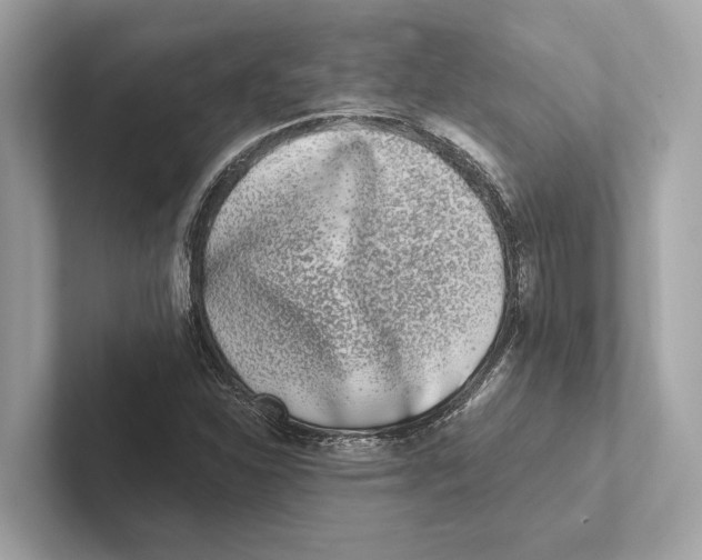 X0000100911310200807220942