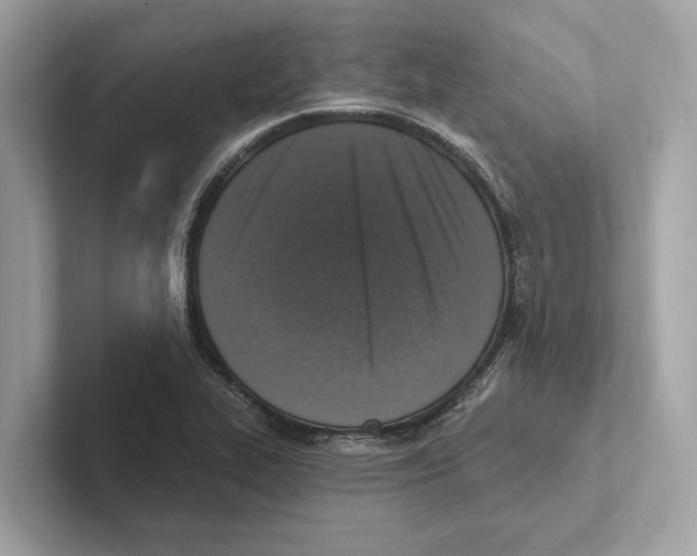 X0000100911319200807220942