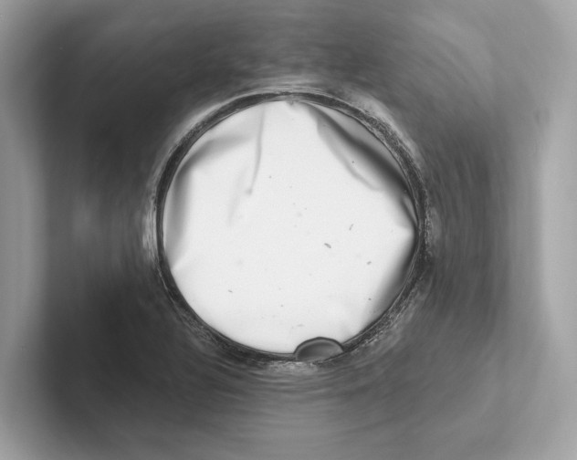 X0000100911320200807220942