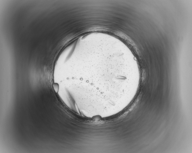 X0000100911321200807220942